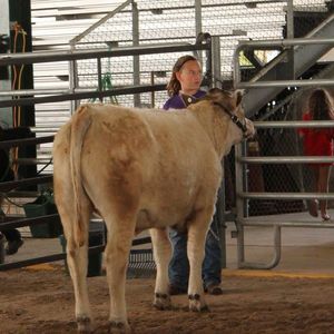 Meet your Posher, Caitlyn